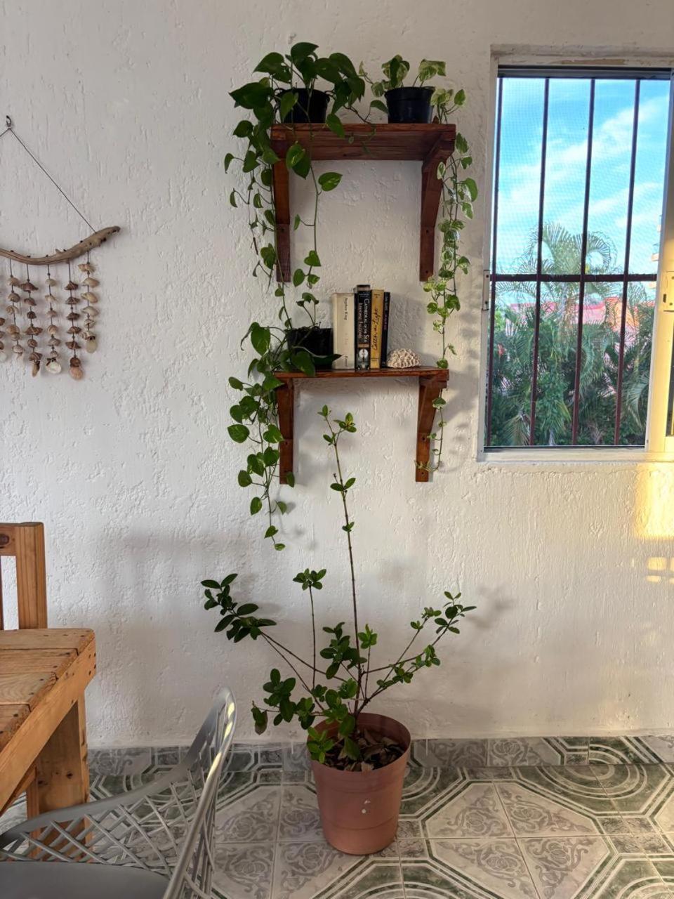 Centrally Located 2 Blocks From The Sea Appartement *